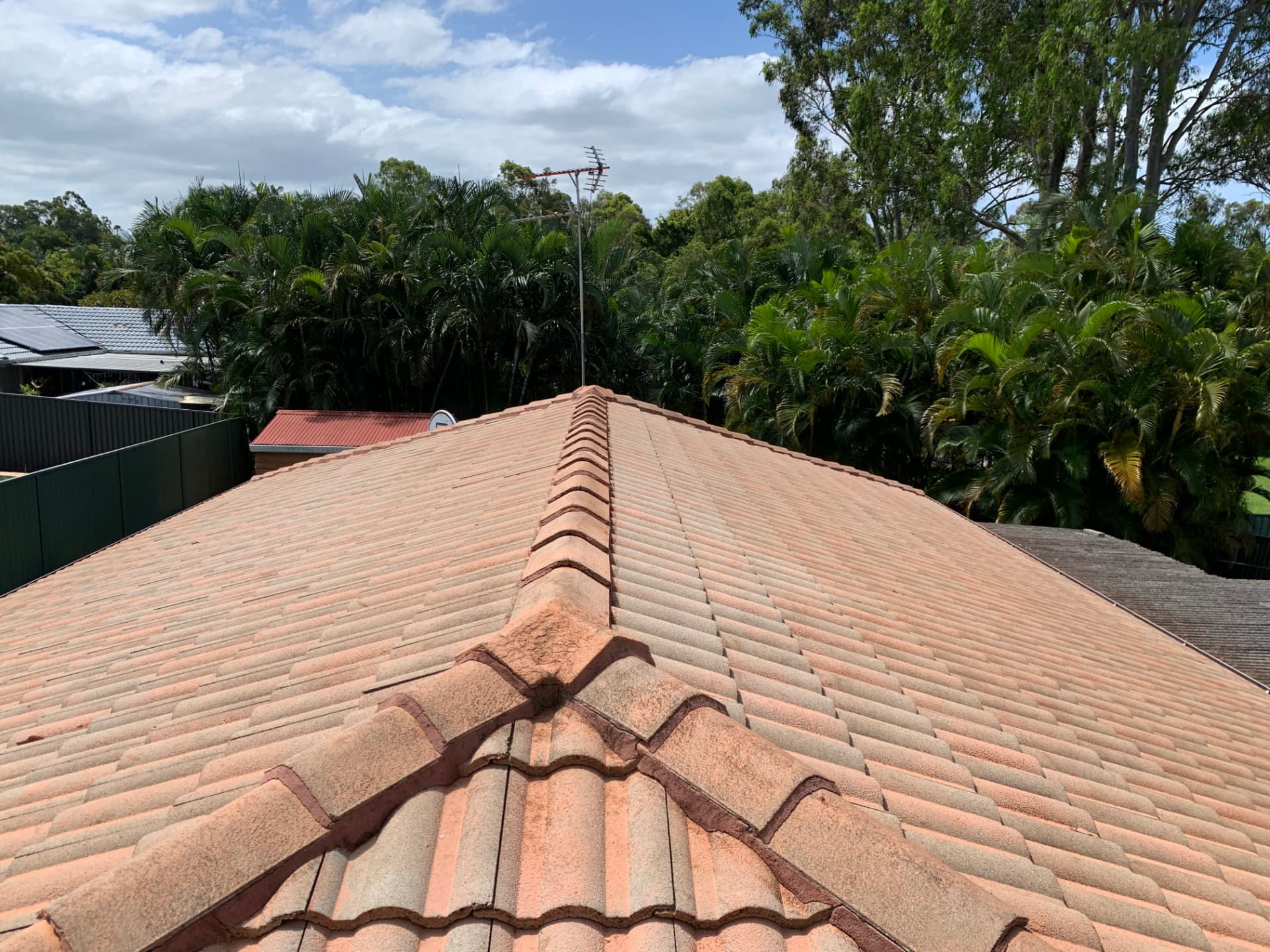 After Roof clean in Carrara and Bonogin