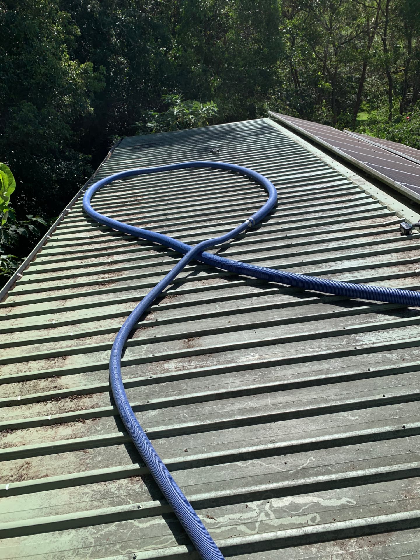 After Roof Clean