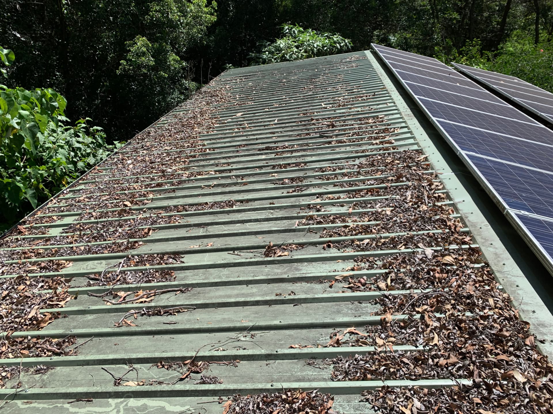 Before Roof Clean