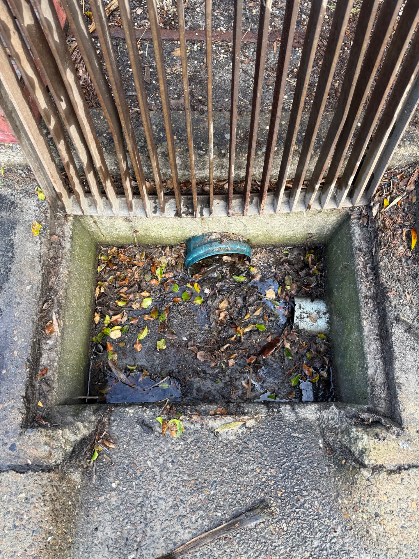 Before Storm Drain Clean