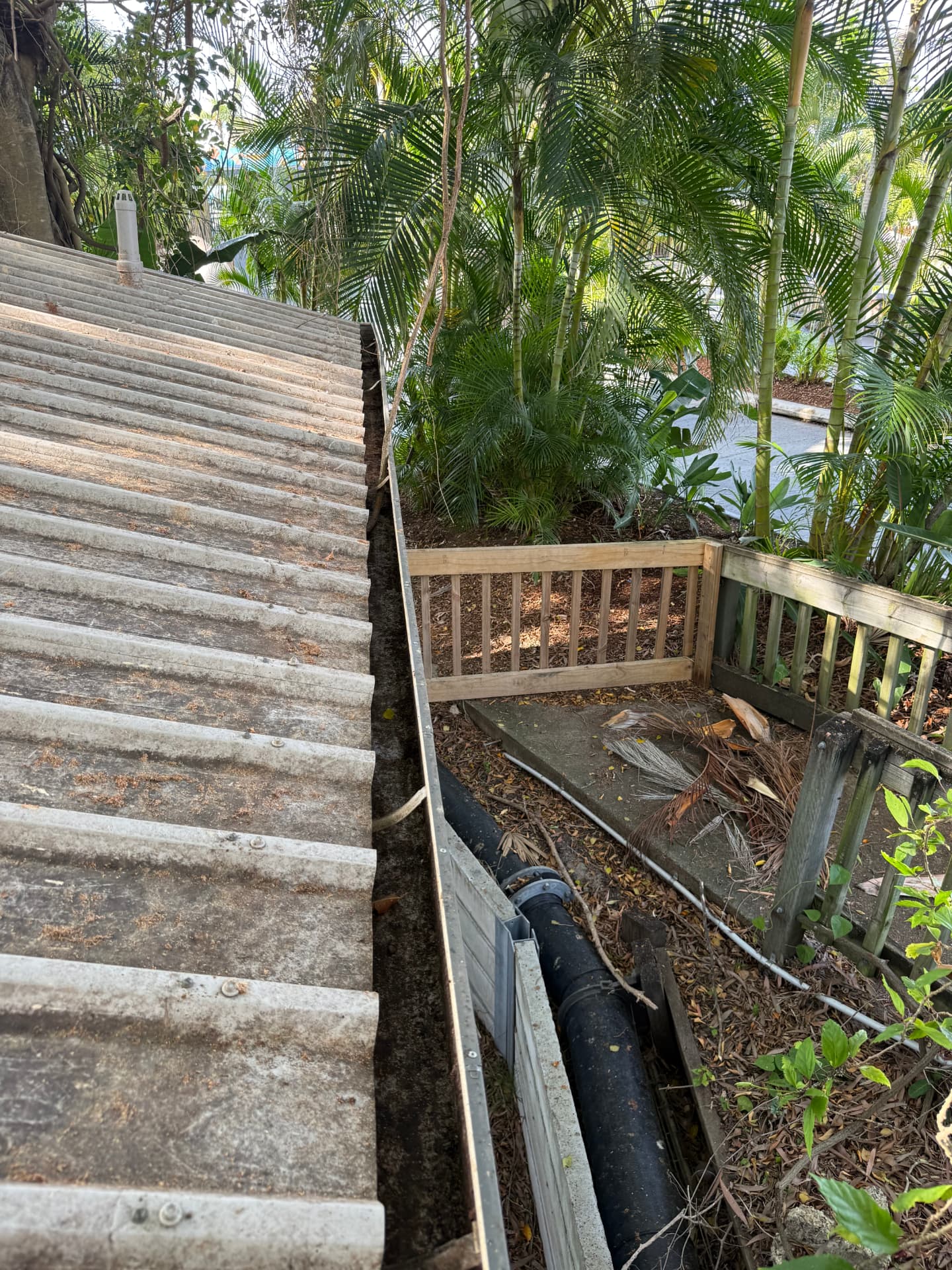 After Gutter clean in Main Beach and Bonogin