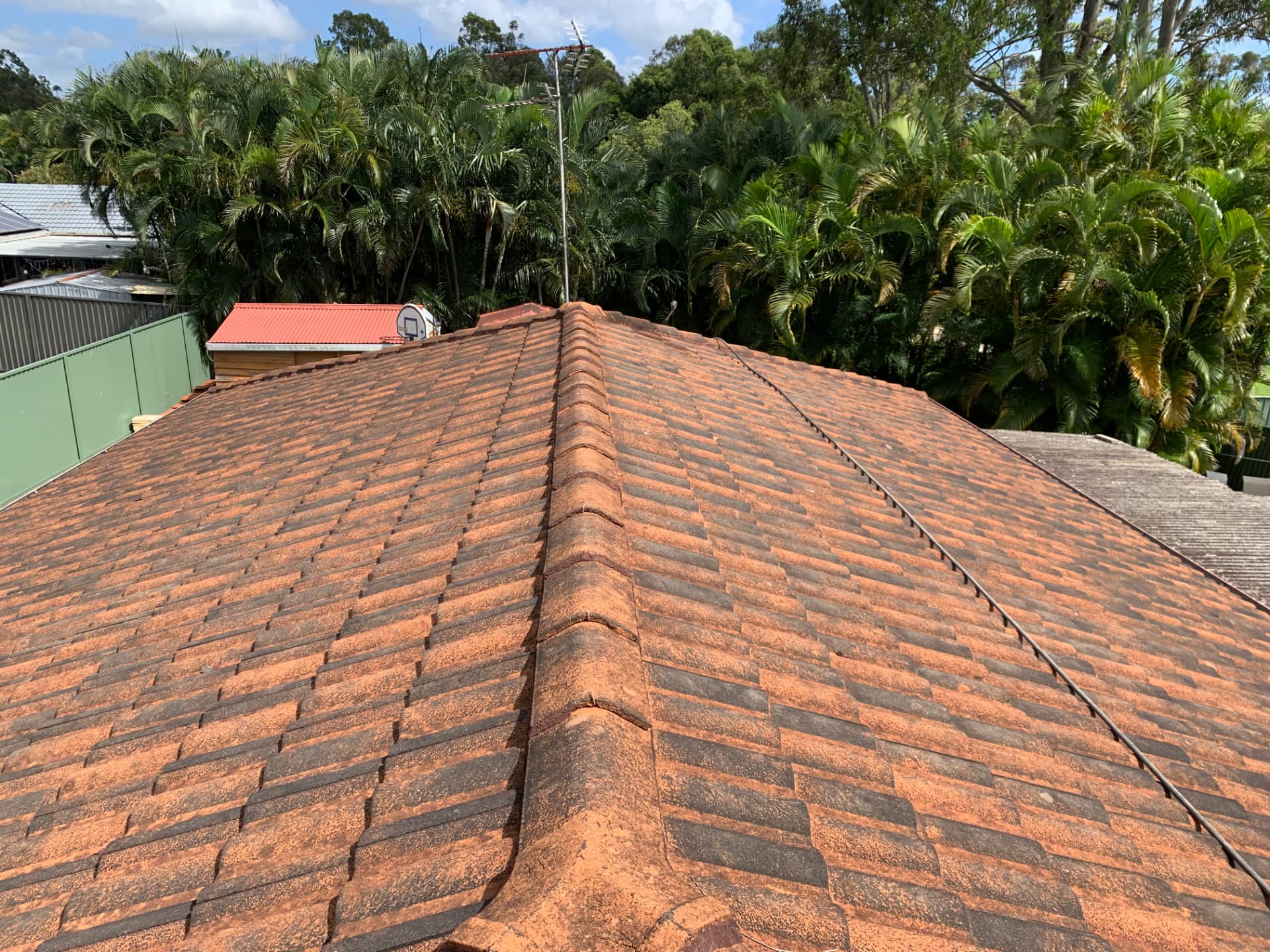 Before Roof clean in Carrara and Bonogin