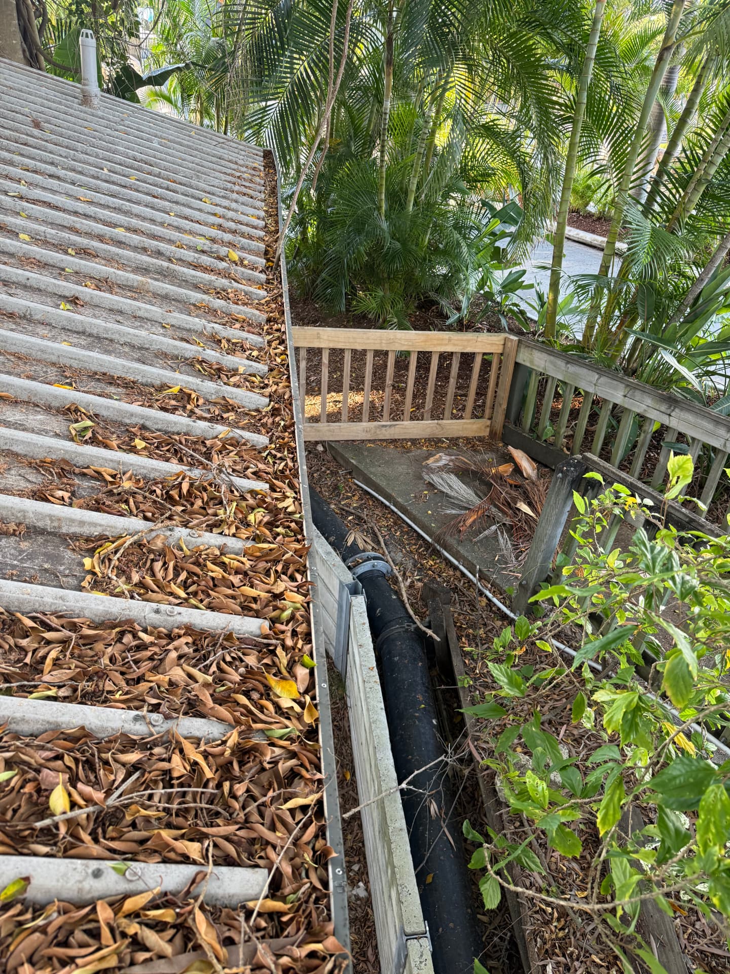 Before Gutter clean in Main Beach and Bonogin